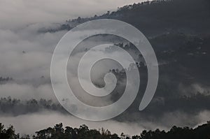Clouds climbing the mountains at Kausani, India photo